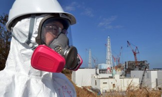 Fukashima Radiation Levels